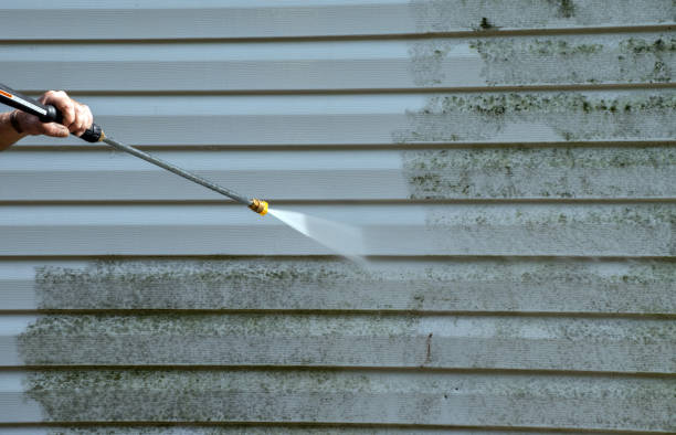 Best Pressure Washing Near Me  in Shaw, MS