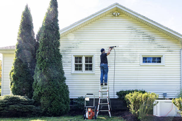 Best Affordable Pressure Washing  in Shaw, MS