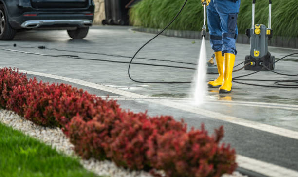 Best Residential Pressure Washing Services  in Shaw, MS